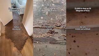 Would you clean this filthy apartment for $3,000?