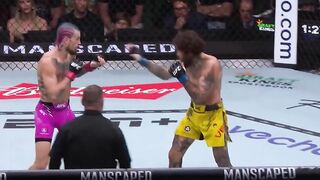 Listen to the SOUND of Sean O'Malley's knee strike to opponent's face