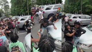 Massive brawl breaks out, showing why we can't have nice things