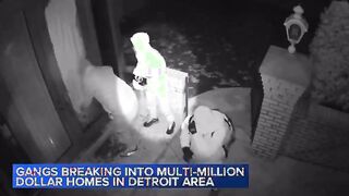 We're on High Alert: Gangs of well-trained thieves from South America targeting homes