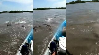 Something weird happened in the water. What the heck is this