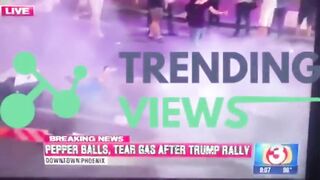 Protester gets hit in the nuts by police