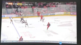 Former NHL hockey player dies on ice after 'freak' accident