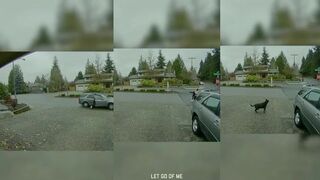 Girl steals a package, gets run over by getaway car