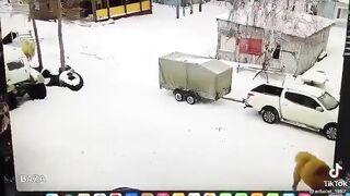 Guy punches camel, then gets eaten alive