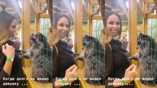 Good racoon, very very good racoon