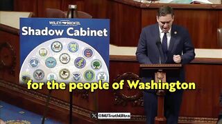 Radical dude wants to run a 'Shadow Govt'