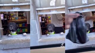 This might be the employee of the year