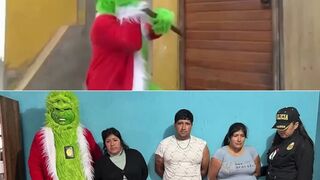 Undercover cop dressed as the Grinch makes a drug bust