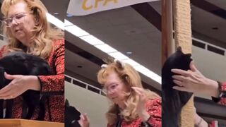 Cat smacks lady in the face