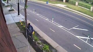 Even the sunflowers are no longer safe in Detroit